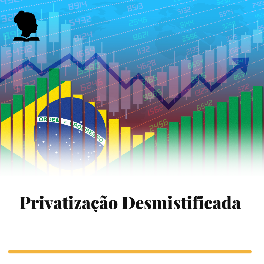 Privatização Desmistificada