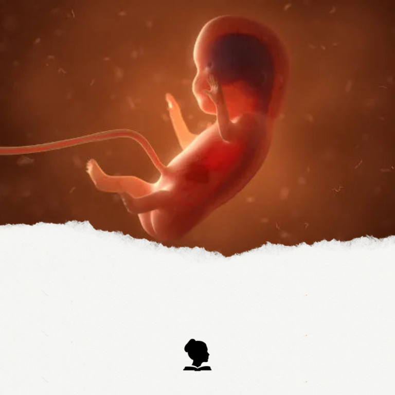 Aborto: Direito ou Crime